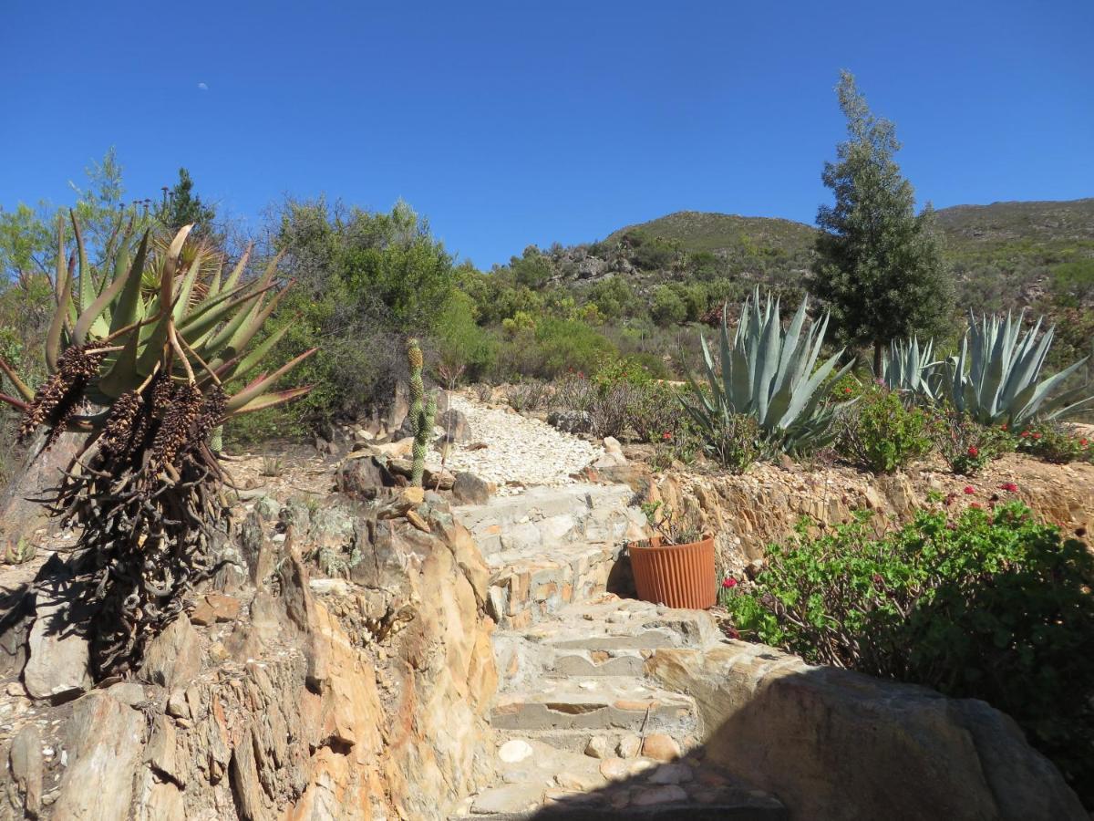 Bo Kouga Mountain Retreat Hotel Ongelegen Buitenkant foto
