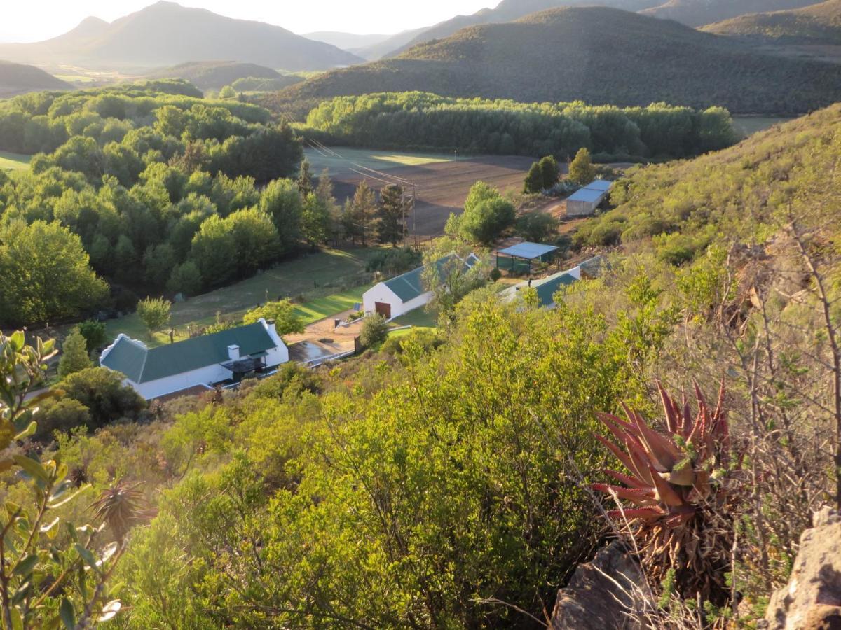 Bo Kouga Mountain Retreat Hotel Ongelegen Buitenkant foto